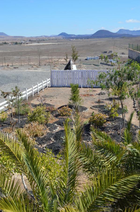 Estudio Rural La Rosa Herrera Туйнехе Экстерьер фото